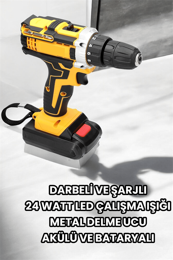 Metal Dişli 24W Akülü Matkap -Çift Bataryalı ve LED Çalışma Işığı ile Tam Set - Lisinya
