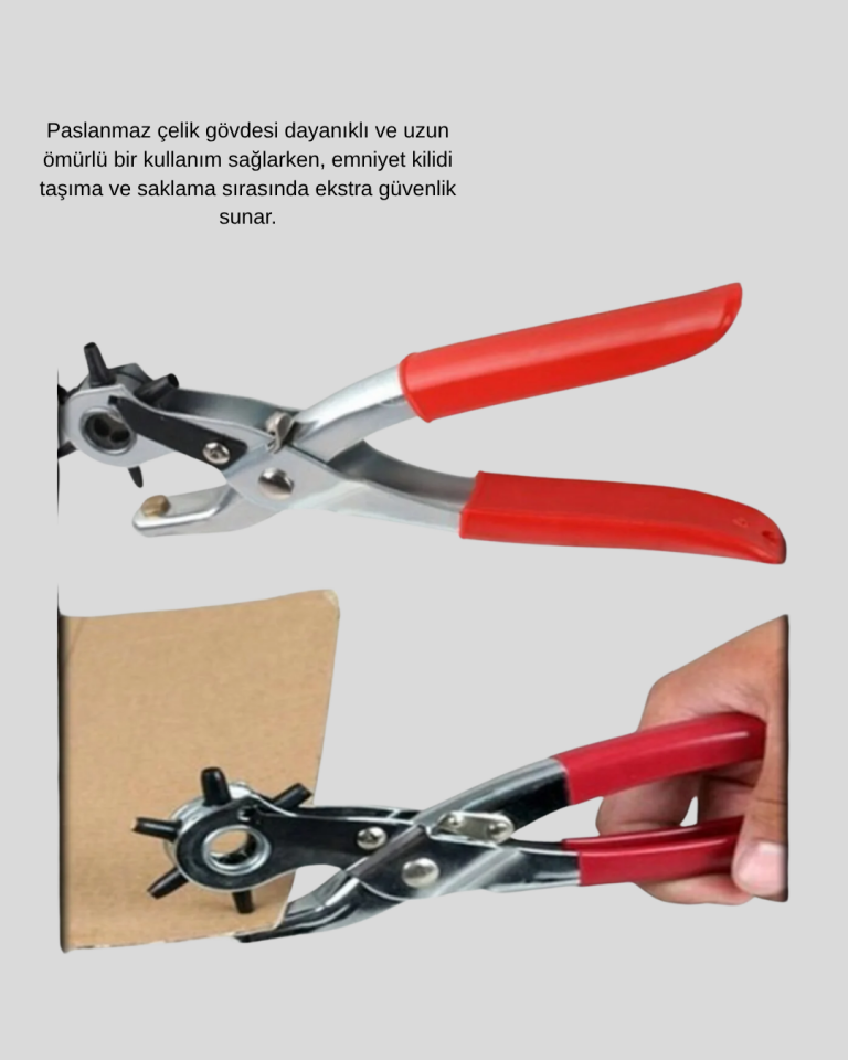Delme Pensesi 6 Başlıklı Çok Amaçlı Paslanmaz Çelik Ergonomik - Lisinya