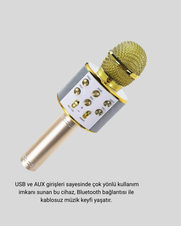 Bluetooth Karaoke Mikrofon Şarjlı Uzun Pil Ömürlü Çok Fonksiyonlu - Lisinya