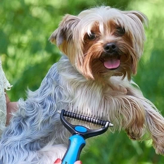 Plastik Saplı Metal Kedi Köpek Bakım Kıtık Tüy Topak Açıcı Tarak ( Lisinya )