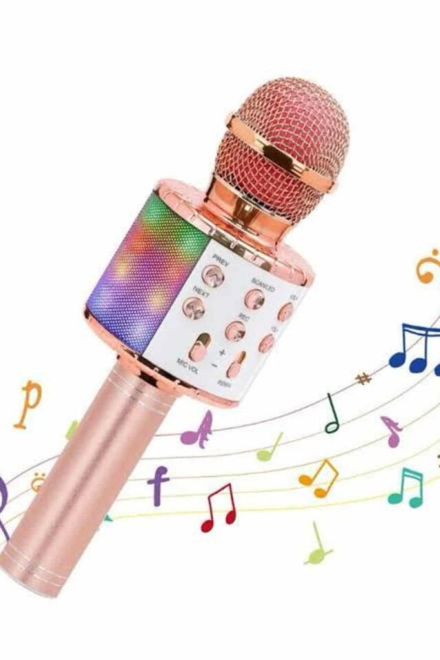 Karaoke Mikrofon Bluetooth Bağlantılı Aux Girişli Uzun Pil Ömrü Yüksek Ses Kaliteli - Lisinya