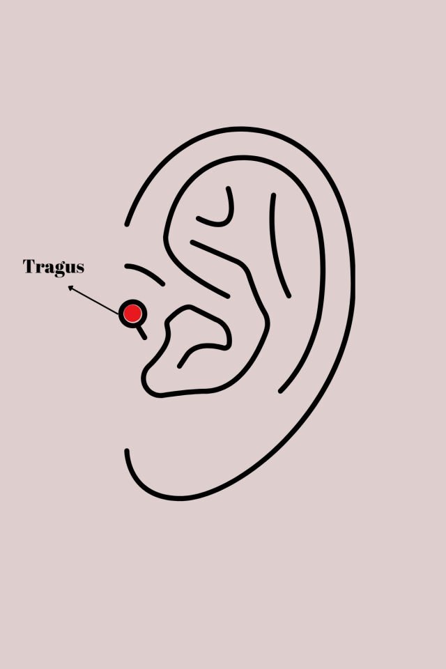 316L Çelik Gümüş Renk Beyaz Minelik Kalp Sallantı Zirkon Taş Detay Tragus Piercing - Lisinya